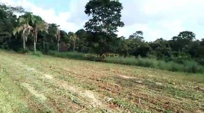 Chácara, 2 hectares - Foto 1