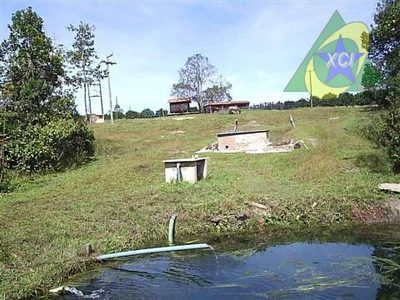 Sítio, 3 quartos, 13 hectares - Foto 2