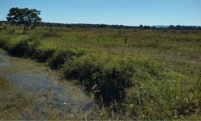 Chácara, 1 quarto, 3150 hectares - Foto 4