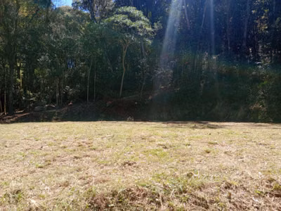 Chácara, 3000 m² - Foto 5