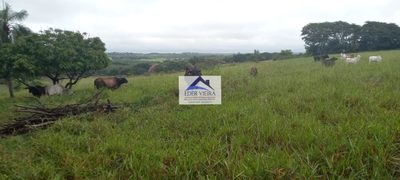 Chácara, 4 quartos, 9 hectares - Foto 3