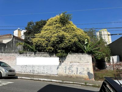 Terreno, 1000 m² - Foto 3