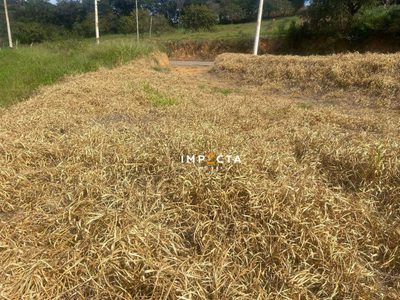 Terreno, 286 m² - Foto 3