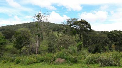 Terreno, 320000 m² - Foto 5
