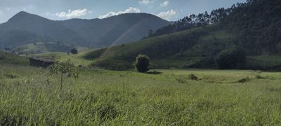 Fazenda, 73 hectares - Foto 2
