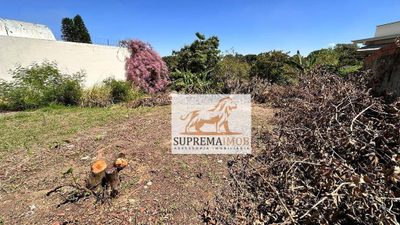 Terreno, 330 m² - Foto 3