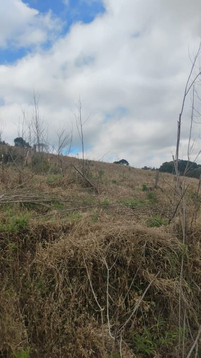 Fazenda, 242 hectares - Foto 4
