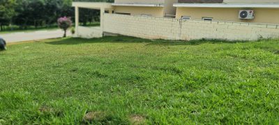 Terreno, 250 m² - Foto 3