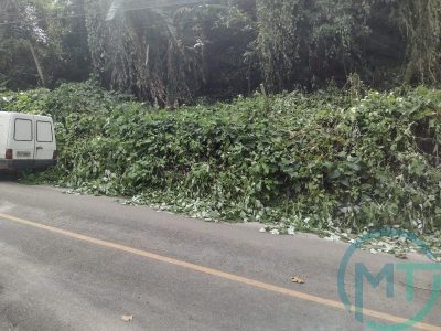 Terreno, 2301 m² - Foto 5