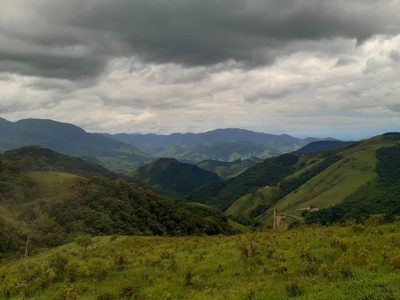 Terreno, 4 hectares - Foto 3