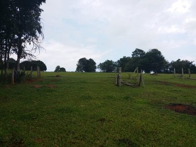 Sítio, 4 quartos, 49400 m² - Foto 2