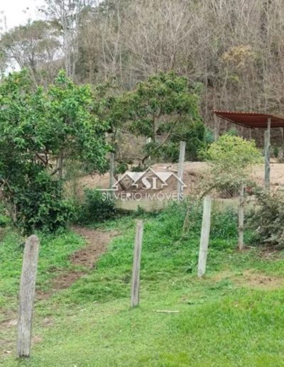 Sítio, 3 quartos, 6 hectares - Foto 3