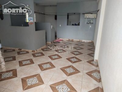 Casa, 4 quartos, 148 m² - Foto 4