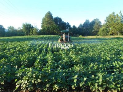 Terreno, 7 hectares - Foto 5