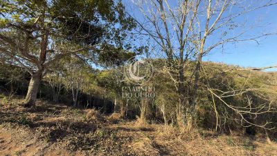 Terreno, 3051 m² - Foto 2