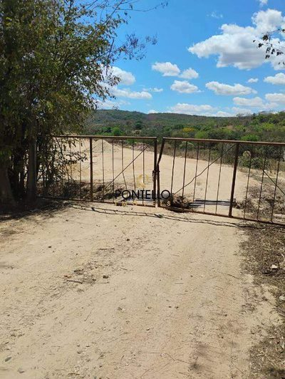 Terreno, 2 hectares - Foto 1