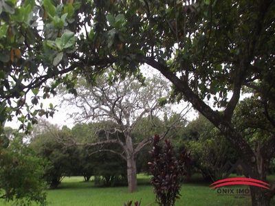 Casa, 6 quartos - Foto 4