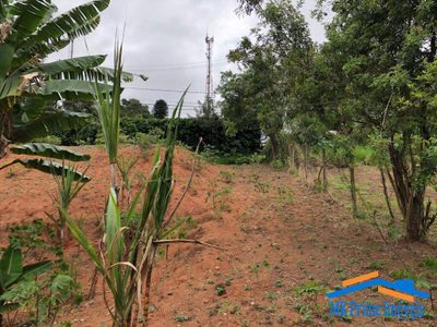 Terreno, 1772 m² - Foto 5