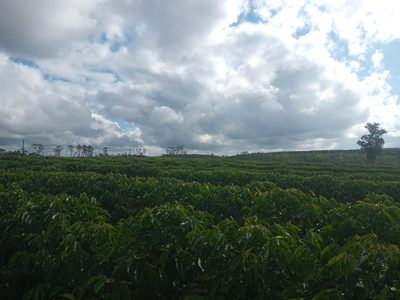 Fazenda, 10 quartos - Foto 5