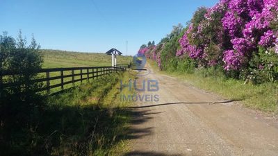Terreno, 3 hectares - Foto 4
