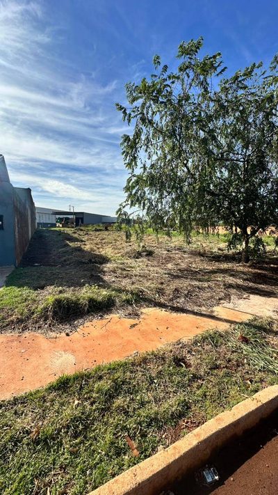 Terreno, 461 m² - Foto 5
