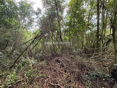 Terreno, 1357 m² - Foto 5