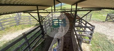 Fazenda, 2 quartos - Foto 5