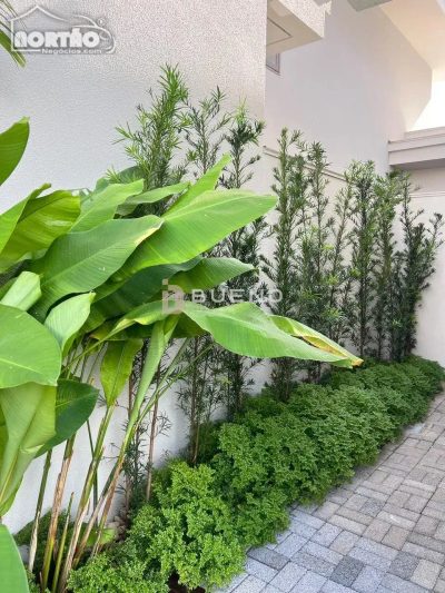 Casa, 1 quarto, 325 m² - Foto 4