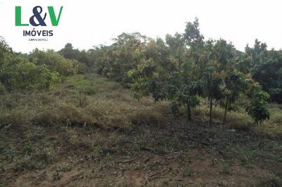 Terreno, 2 hectares - Foto 3