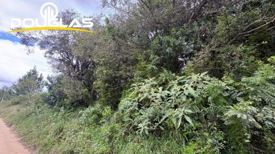 Terreno - Foto 4