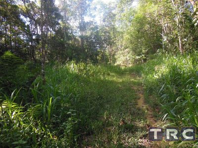 Terreno, 6 hectares - Foto 2