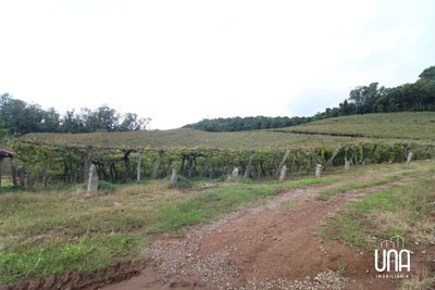 Chácara, 5 hectares - Foto 1