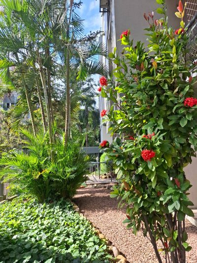 Apartamento, 3 quartos, 124 m² - Foto 4