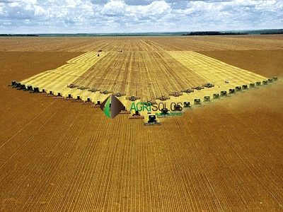 Terreno, 11 hectares - Foto 3