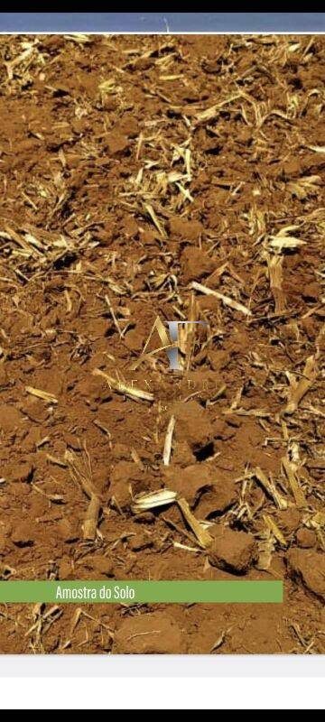 Terreno, 5000 m² - Foto 2