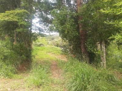 Terreno, 600 m² - Foto 4