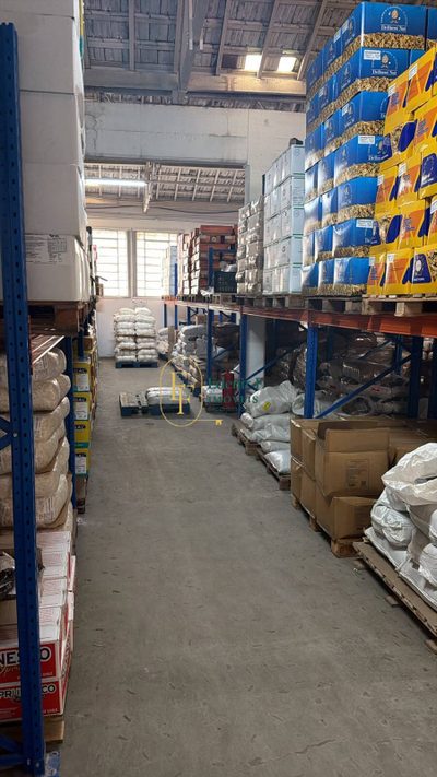 Depósito-Galpão, 1766 m² - Foto 5