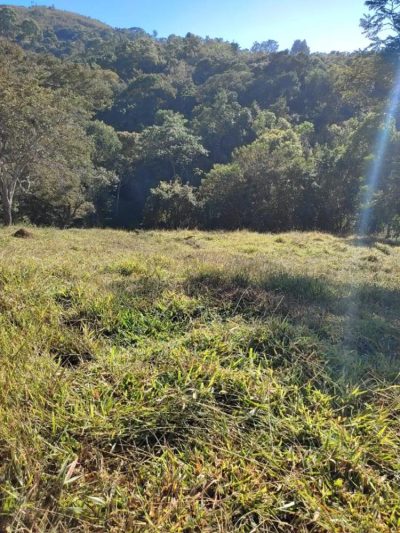 Fazenda - Foto 3