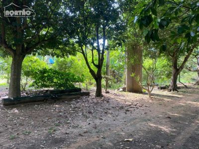 Casa - Foto 4