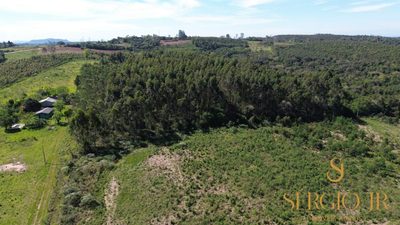 Loteamento e Condomínio, 5 hectares - Foto 3