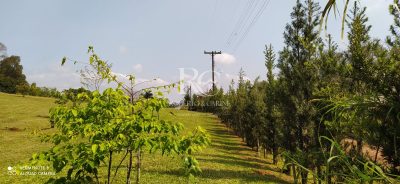 Sítio, 3 quartos, 9680 m² - Foto 5