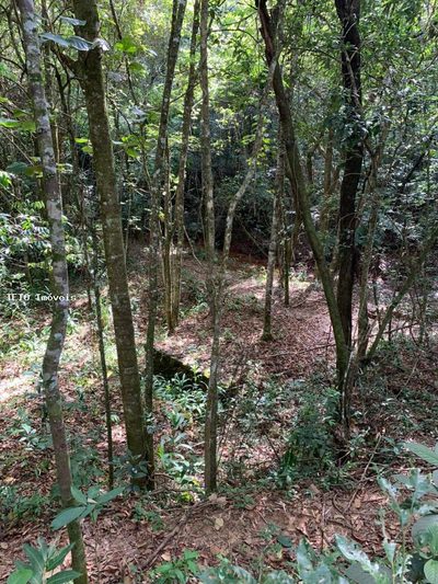 Terreno, 1142 m² - Foto 4