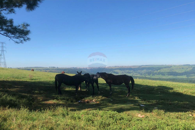 Sítio, 8 quartos, 285000 m² - Foto 3