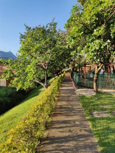 Apartamento, 2 quartos, 48 m² - Foto 2