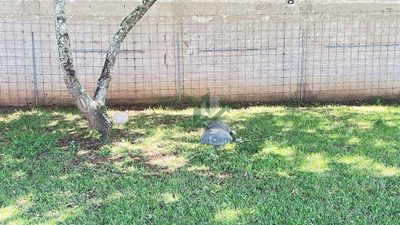 Loteamento e Condomínio, 360 m² - Foto 4