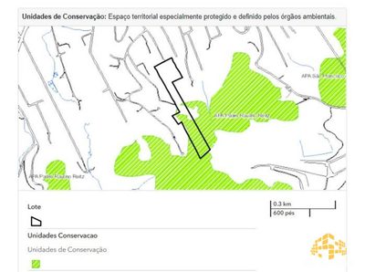 Terreno, 3 hectares - Foto 4