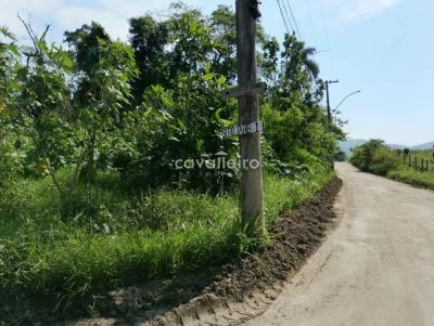 Terreno, 3 hectares - Foto 3