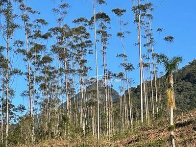 Terreno, 30 hectares - Foto 4