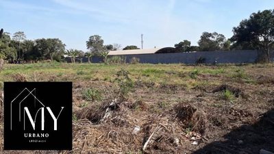 Terreno, 8000 m² - Foto 2