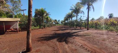 Sítio, 2 quartos, 500 m² - Foto 4